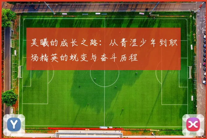 吴曦的成长之路：从青涩少年到职场精英的蜕变与奋斗历程